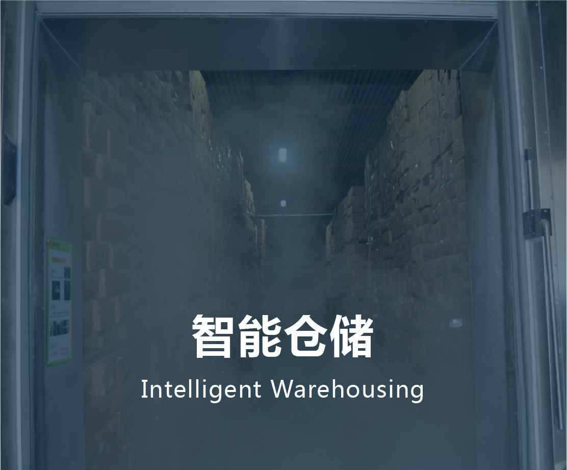 智能倉(cāng)儲(chǔ)